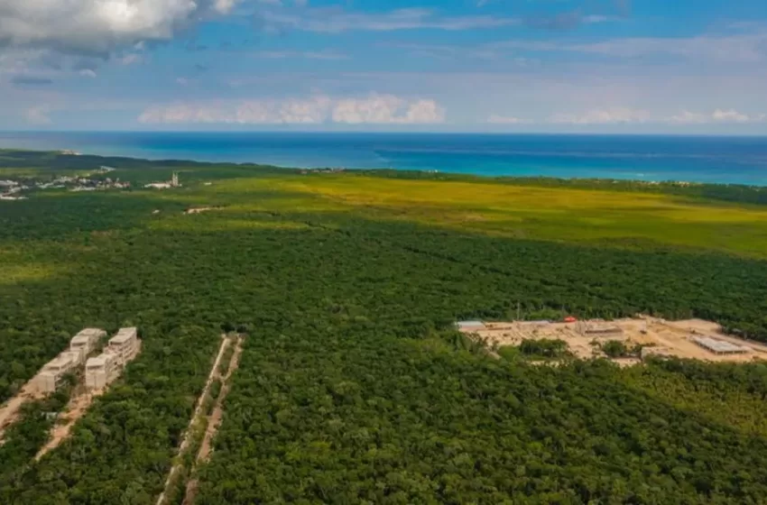  AMLO declara área natural protegida la región «Jaguar» en Tulum