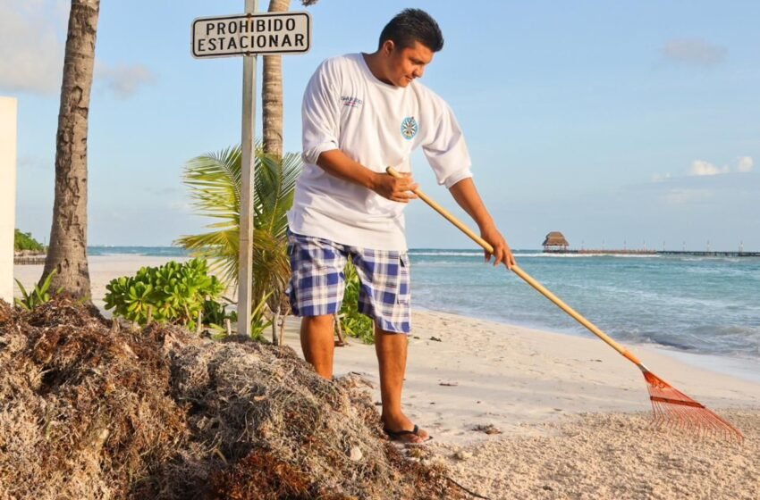  Fotalecen trabajos de limpiza en  playas de Isla Mujeres