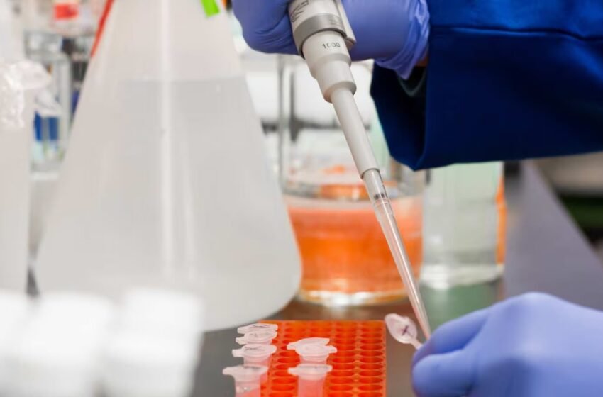 El estudio, publicado en la revista Nature Medicine, sugiere que la mutación CCR5Δ32 "facilita la curación, pero que no es imprescindible para lograrla".