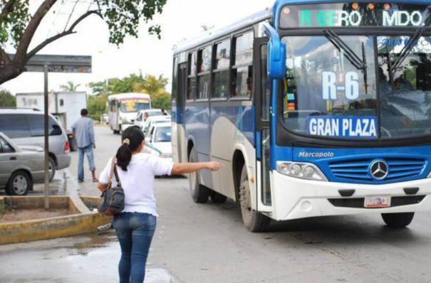 Transporte público en Cancún enfrenta reto por jornada laboral de 40 horas: analizan alternativas