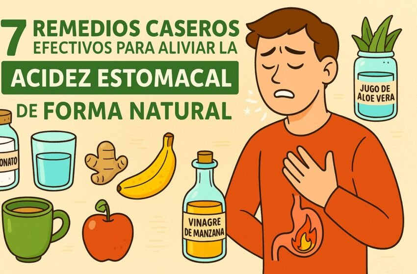  7 Remedios caseros efectivos para aliviar la acidez estomacal de forma natural