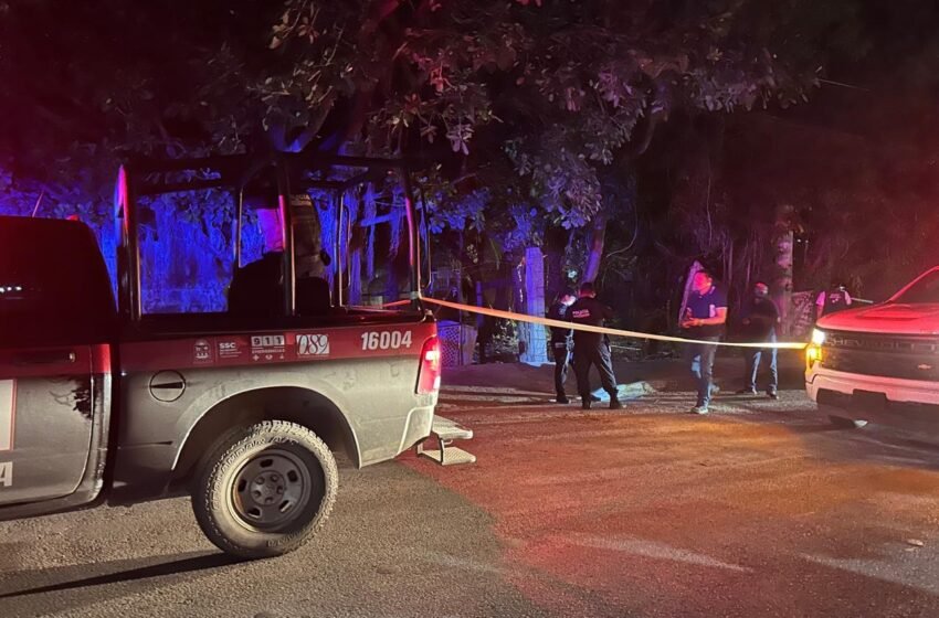 Vecinos detienen a hombre que mató a golpes a un perro frente a sus hijos en Cancún