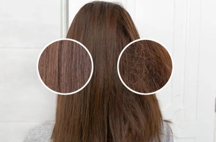  Alimentos que fortalecen el cabello y reducen su caída: recomendaciones de expertos de Harvard