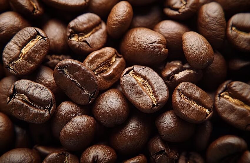  Café descafeinado vs café regular: diferencias reales y su impacto en la salud diaria, según expertos