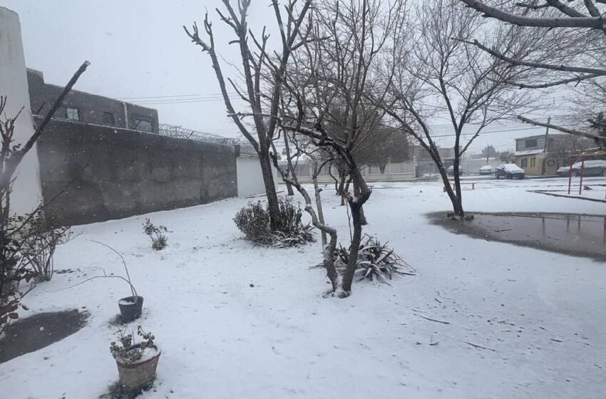  Tormenta invernal golpea Chihuahua: frío extremo, nieve y lluvias mantienen alerta a autoridades