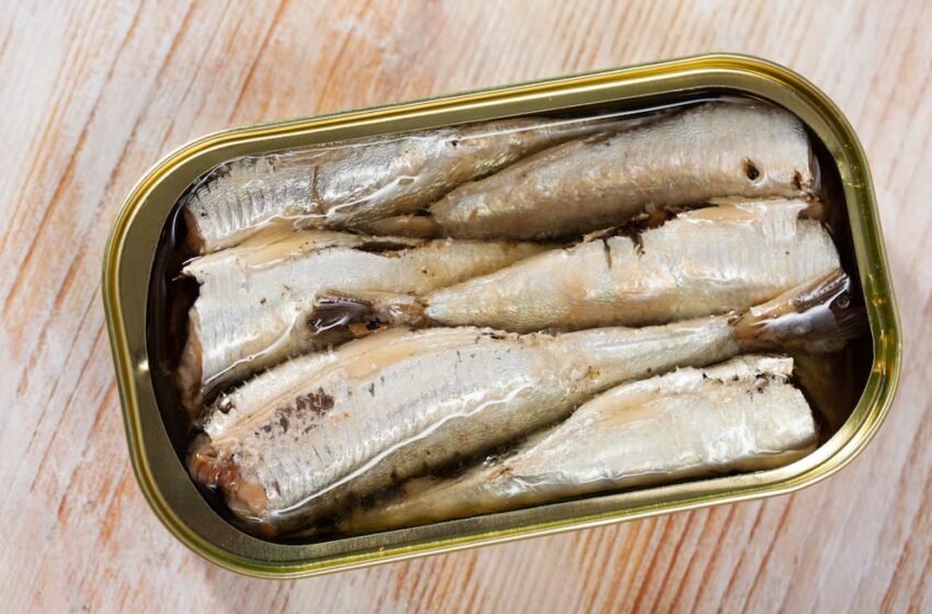  Sardinas en lata: el alimento clave de la despensa que protege la masa muscular y aporta vitamina D