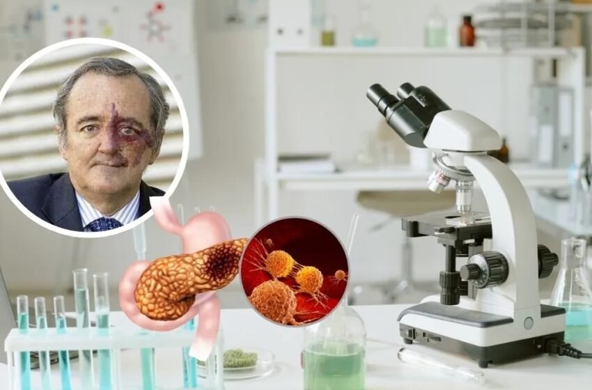  Avance histórico contra el cáncer de páncreas: el equipo de Mariano Barbacid logra eliminar tumores en ratones