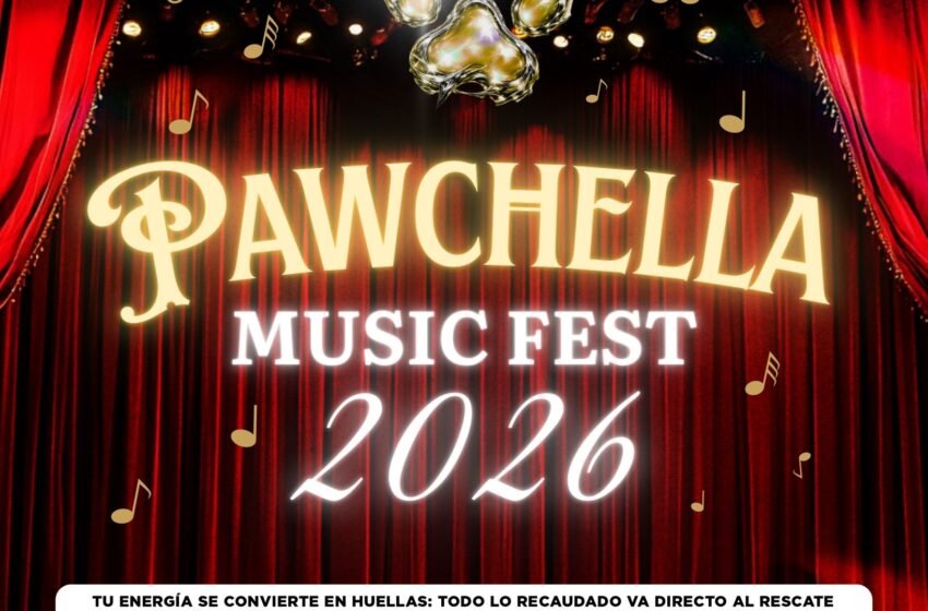  Pawchella Music Fest 2026 une música y solidaridad para ayudar a perros y gatos sin hogar