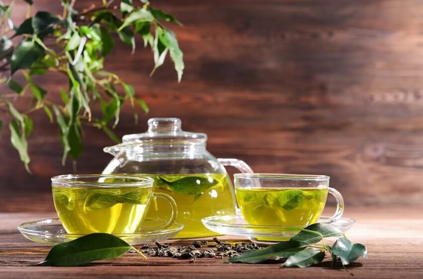  Beber té recién preparado podría mejorar la salud a largo plazo, según nuevas investigaciones