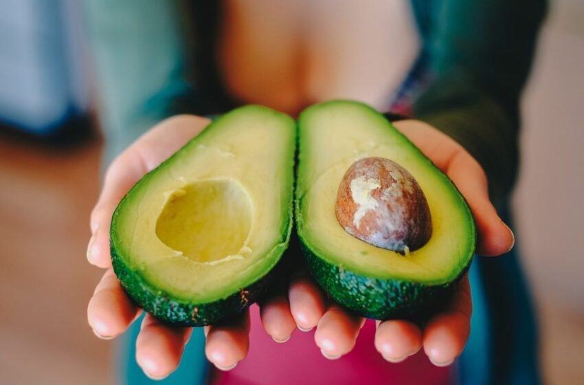  Cómo un aguacate al día puede mejorar tu salud cardiovascular y tu dieta, según la ciencia