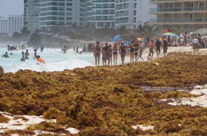 Créditos: Quintana Roo Hoy