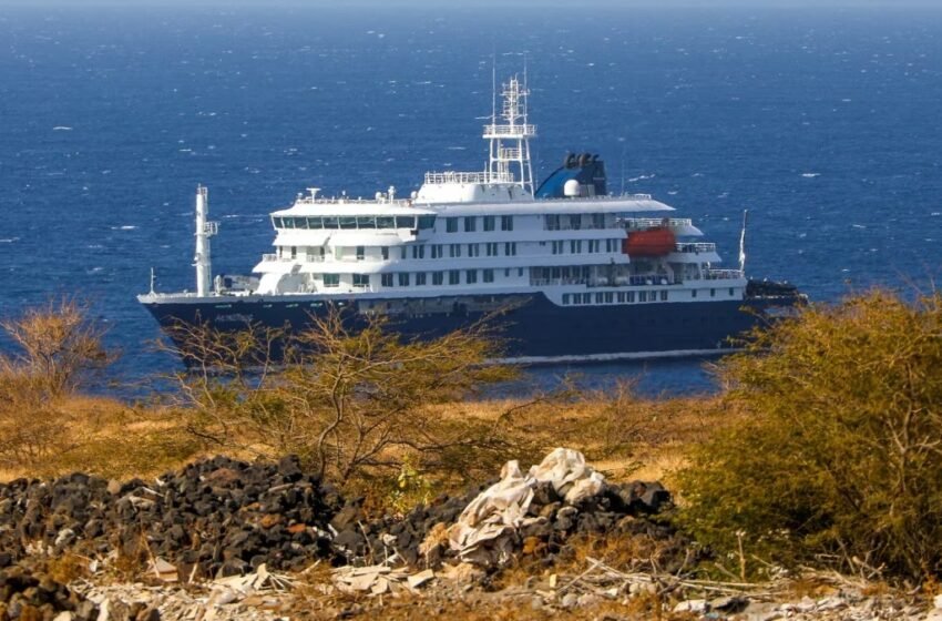  Hantavirus llega a Ámsterdam: aíslan a azafata tras contacto con pasajera fallecida del crucero MV Hondius