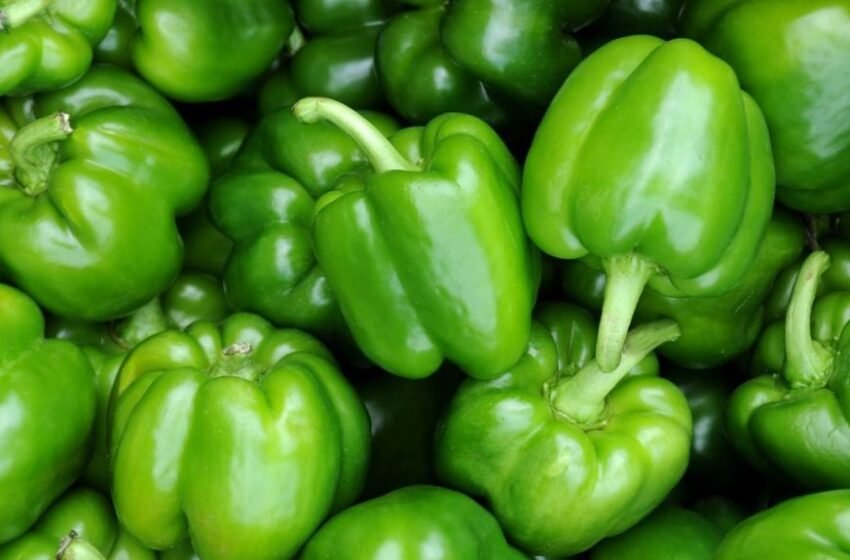  Pimiento verde: beneficios para la salud y razones para incluirlo en tu alimentación diaria