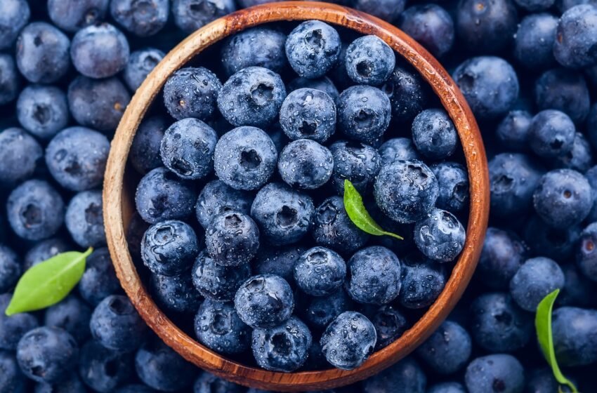  Arándanos: la fruta que protege la vista y ayuda a controlar los niveles de azúcar en sangre