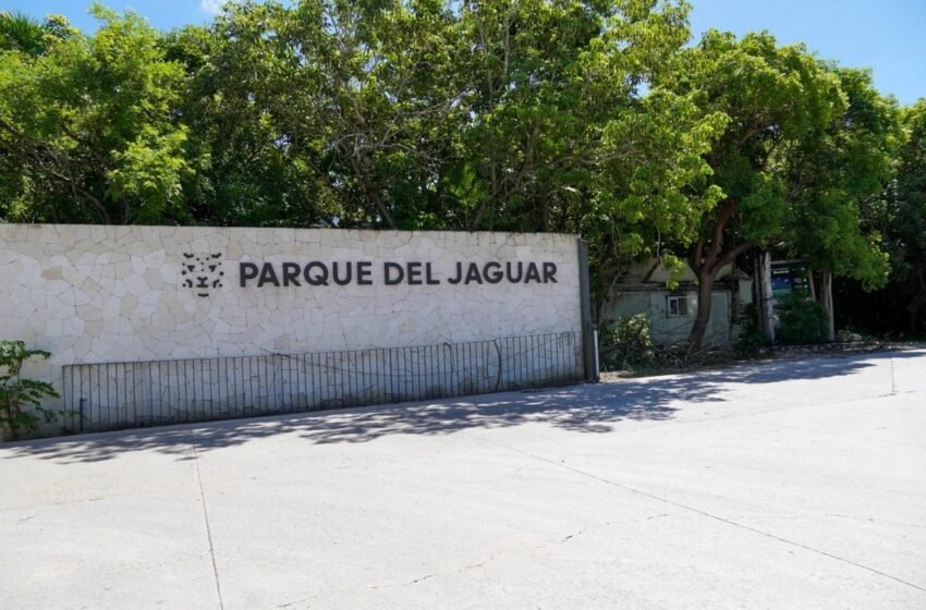  Sheinbaum recorrerá Tulum para atender inquietudes del sector turístico