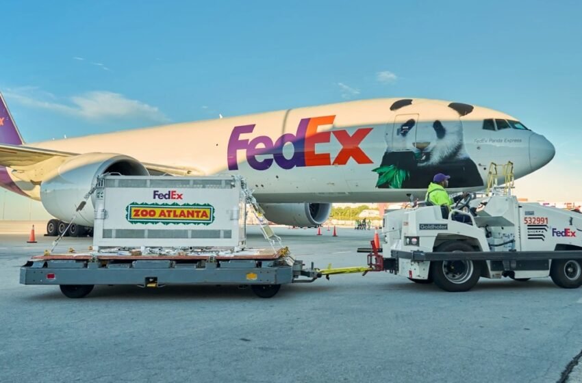 Dos pandas gigantes llegan a Atlanta desde China tras el encuentro entre Trump y Xi Jinping