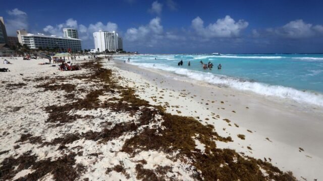  Turismo en Quintana Roo enfrenta varios retos por sargazo, conectividad y fortaleza del peso